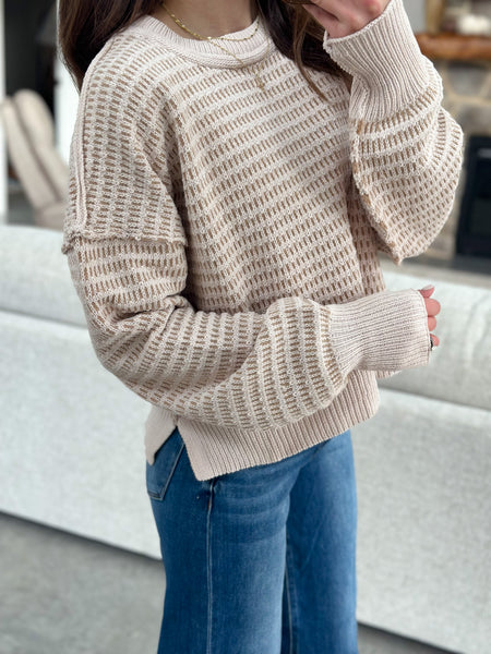 SOFTEST Chenille Neutral Sweater