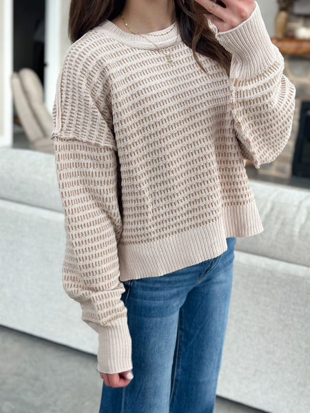 SOFTEST Chenille Neutral Sweater