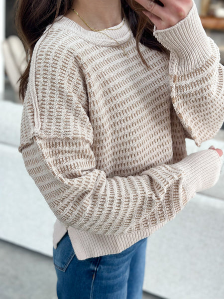 SOFTEST Chenille Neutral Sweater