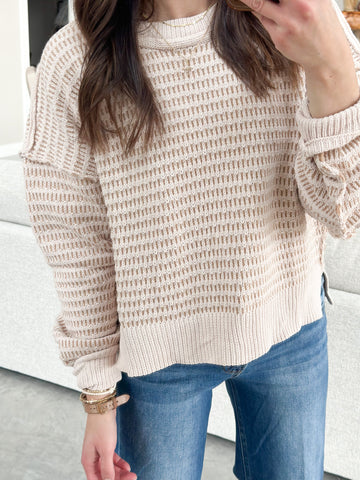 SOFTEST Chenille Neutral Sweater