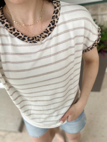 Leopard Collar Stripe Tshirt
